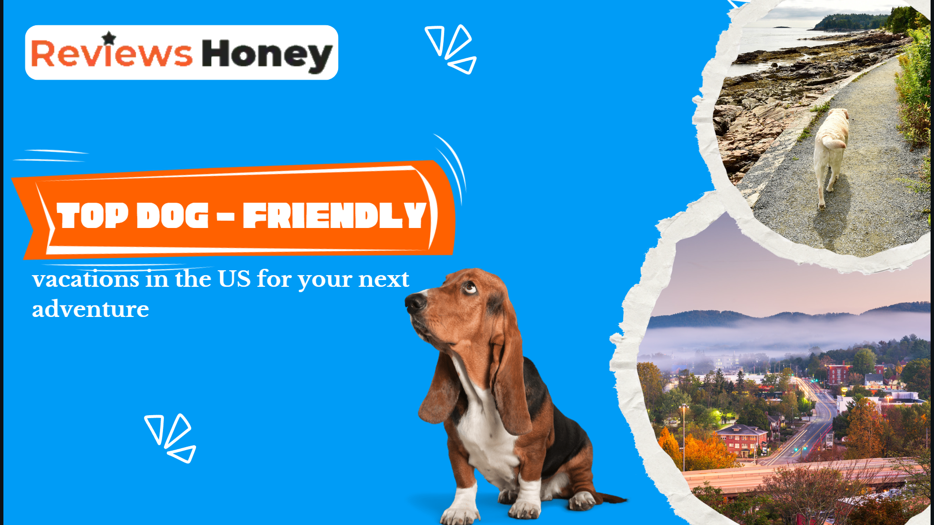 dog friendly destinations